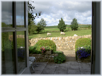 Curlew Cottage Curlew Cottage